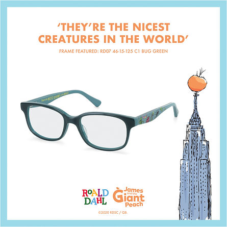 Roald Dahl Childrens Eyewear
