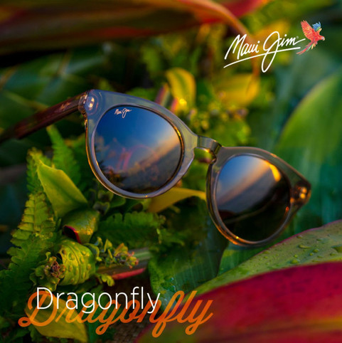 Dragonfly Social Media Post612x612.jpeg