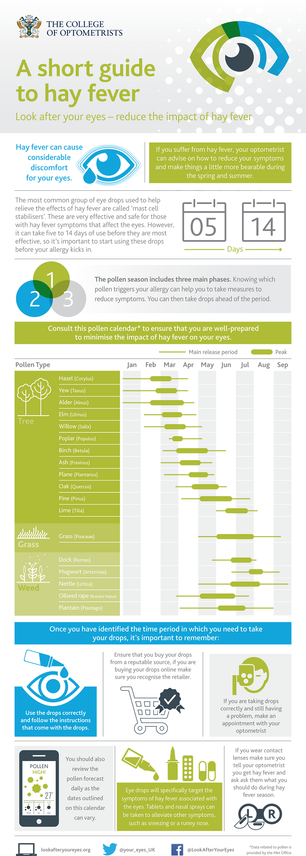 hay_fever_infographic_240316 (1)