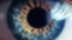 Close up Image of an eye