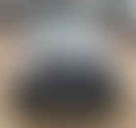 Front View Dirty Land Rover