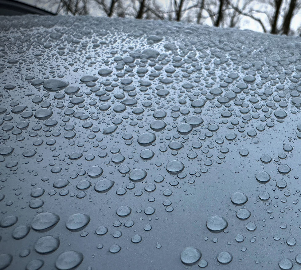 Water Beading On Car Roof