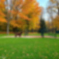 beautiful well maintained dog park in fall.jpg