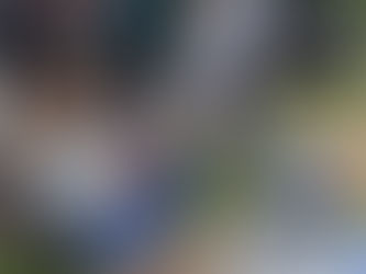 PROYEK LAPANGAN BOLA IPB DRAMAGA BOGOR