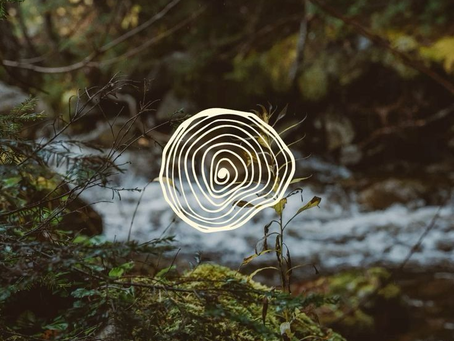 círculo e natureza
