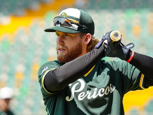 Vuelo intenso en el Nido: Pericos de Puebla cumple 12 días de preparación