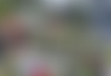 Vocación en marcha: 118 jóvenes de todo México definen su futuro en la Semana Preuniversitaria UDLAP