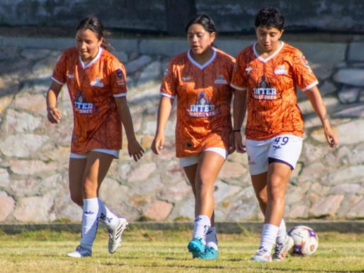 ¡El "Nido Naranja" está más vivo que nunca! 