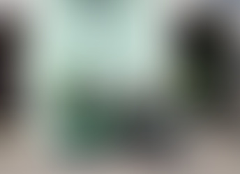 Alianza sustentable: Pericos de Puebla y Bolsas La Poblana firman convenio ecológico