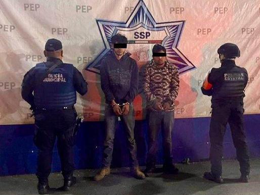 Detienen a dos hombres por tala ilegal en Ixtahuiata