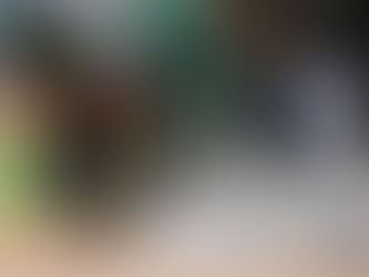 ¡Paliza en el Infierno! Pericos de Puebla vuela alto y derrota a Diablos Rojos