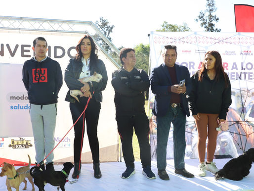 Caninata saludable: familias y mascotas por el bienestar