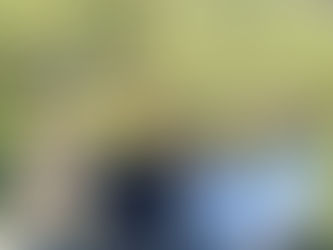 ¡Tradición y Orgullo! Maria De La Barreda Participa en la Cabalgata de Villa Juárez