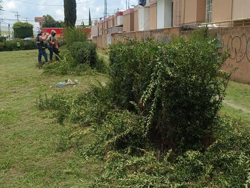 Entorno seguro: Comité de Los Héroes Puebla logra dignificación de área verde en Periférico y 16 Sur