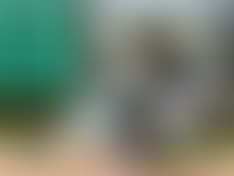 Pericos afinan el vuelo con triunfo interescuadras