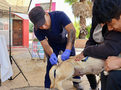 Cercanía y Progreso: DIF Ocoyucan lleva Jornada de Servicios a Santa Martha Hidalgo