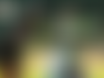 Rugido en el Nido: Pericos de Puebla intensifica su preparación rumbo a la temporada 2026