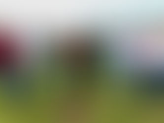 Pulmón de Cholula se fortalece: Encabeza Carolina Fernández intensa jornada de reforestar el Cerro Zapotecas