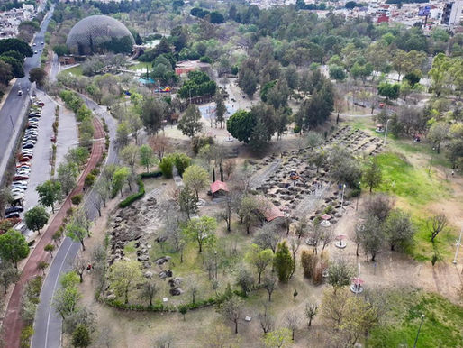 Armenta inicia reforestación histórica: 10 mil árboles para el Bosque Urbano