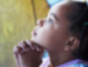 Pray for Timothy Two