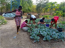 Jardin Baskouré.jpg