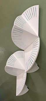 IMG_3120.jpeg