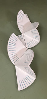 IMG_3126.jpeg