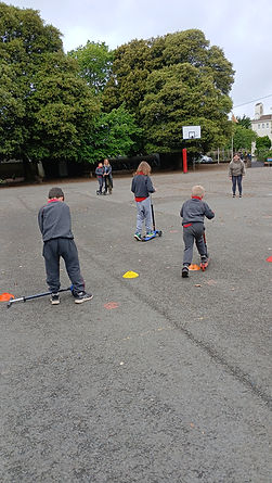 IMG-20250529-WA0012.jpeg