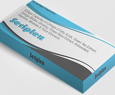 SERIPLEX MOCKUP.png