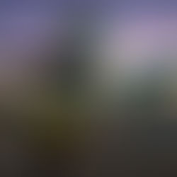 Alto 54 Lounge- The Address Sky View, Downtown Dubai