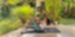 image00015.jpeg
