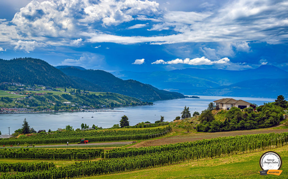 Okanagan Valley vineyard overlooking a lake with hills, clouds, and farmland in British Columbia.