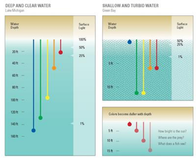 Selecting Lure Colors for Successful Fishing