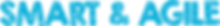 LOGO S&A copie6.png