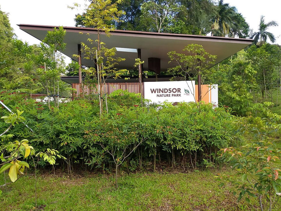 In step with the Lord @ Windsor Nature Park