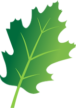 Multi colored dark and light green detailed leaf icon.