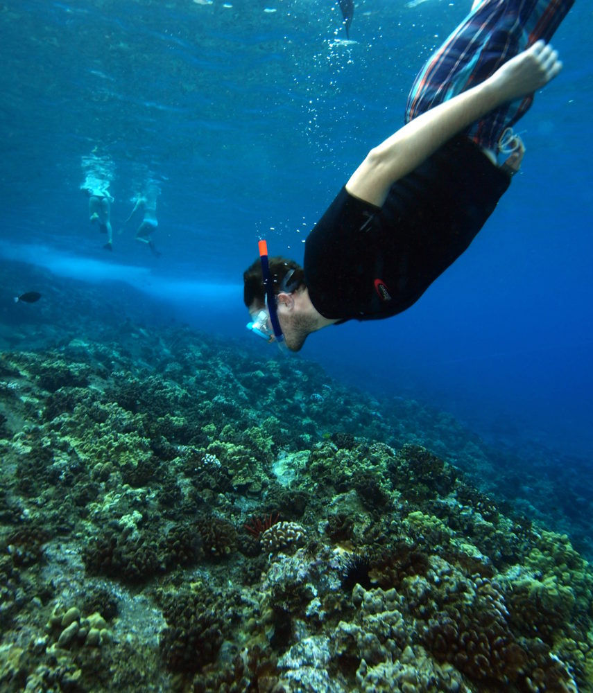 Unique Snorkel Adventure
