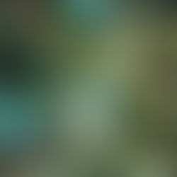 Politique verte et sociale de SRME: engagés pour l'environnement