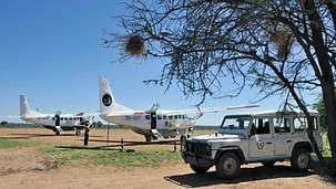 2-Day Serengeti Flying Safari