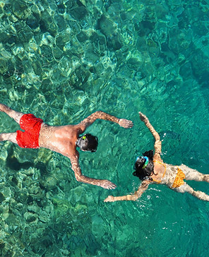 Zanzibar safari with Happy Way Safari