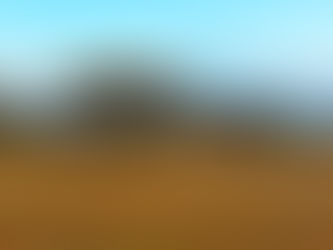 Top 10 Reasons to Go on a Tanzania Safari with Happy WAY Safari (2025–2026) 