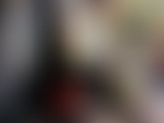 Creating Bulb Lasagnes for a Colourful Spring Display