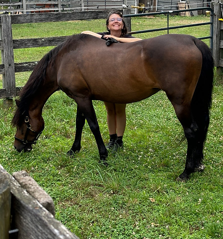 Missy in 2025 at Willow Bark Farm