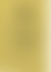 Official Fan Club Certificate 2020-2021