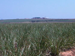 IMG00263-20120912-1040