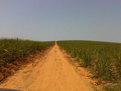 IMG00260-20120912-1040