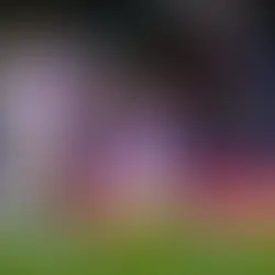 Un futuro menos "Rosa"