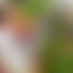 Reguilón podría regresar gratis al Sevilla FC: ¿Un refuerzo de lujo para Nervión?