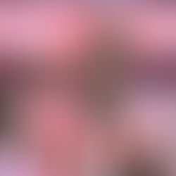 CRÓNICA: Victoria aplastante del Athletic Club ante el Real Valladolid (7-1)