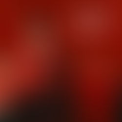 Milos Kerkez, nuevo jugador del Liverpool